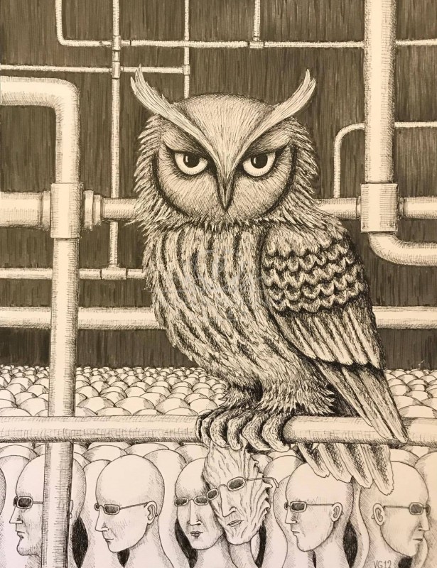 city-owl