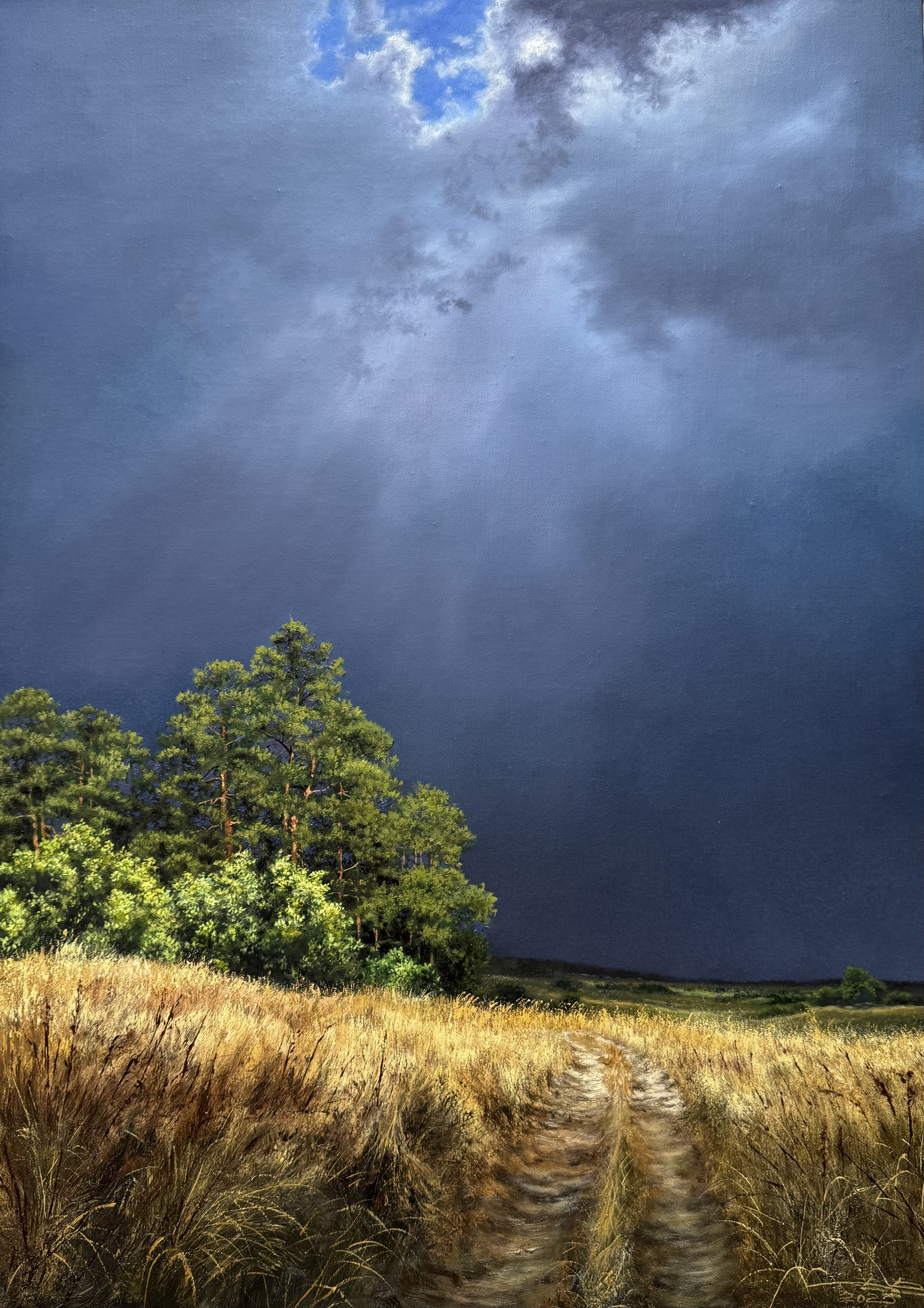 3218storm