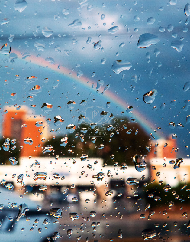 2946rainbow