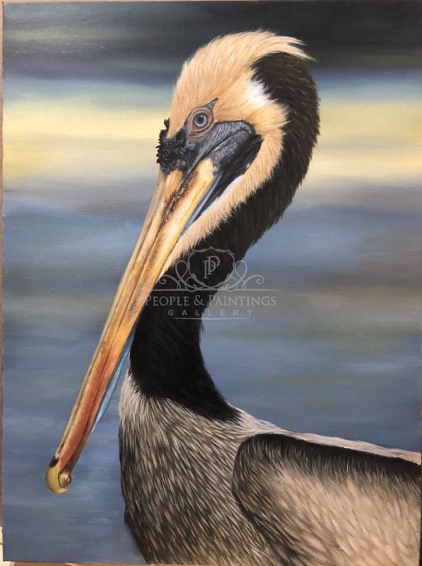 Pelican | People And Paintings