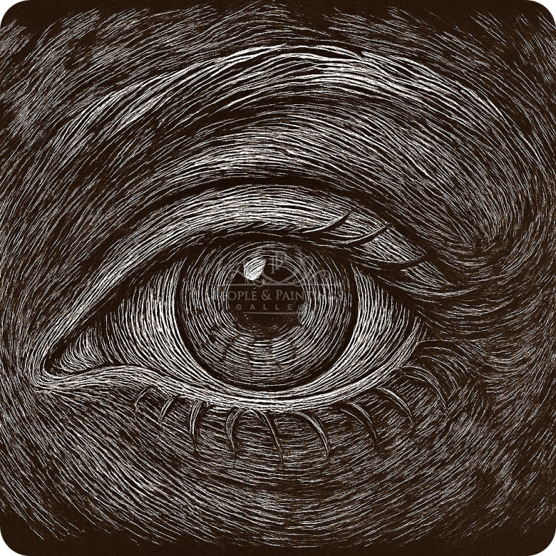 3257eye