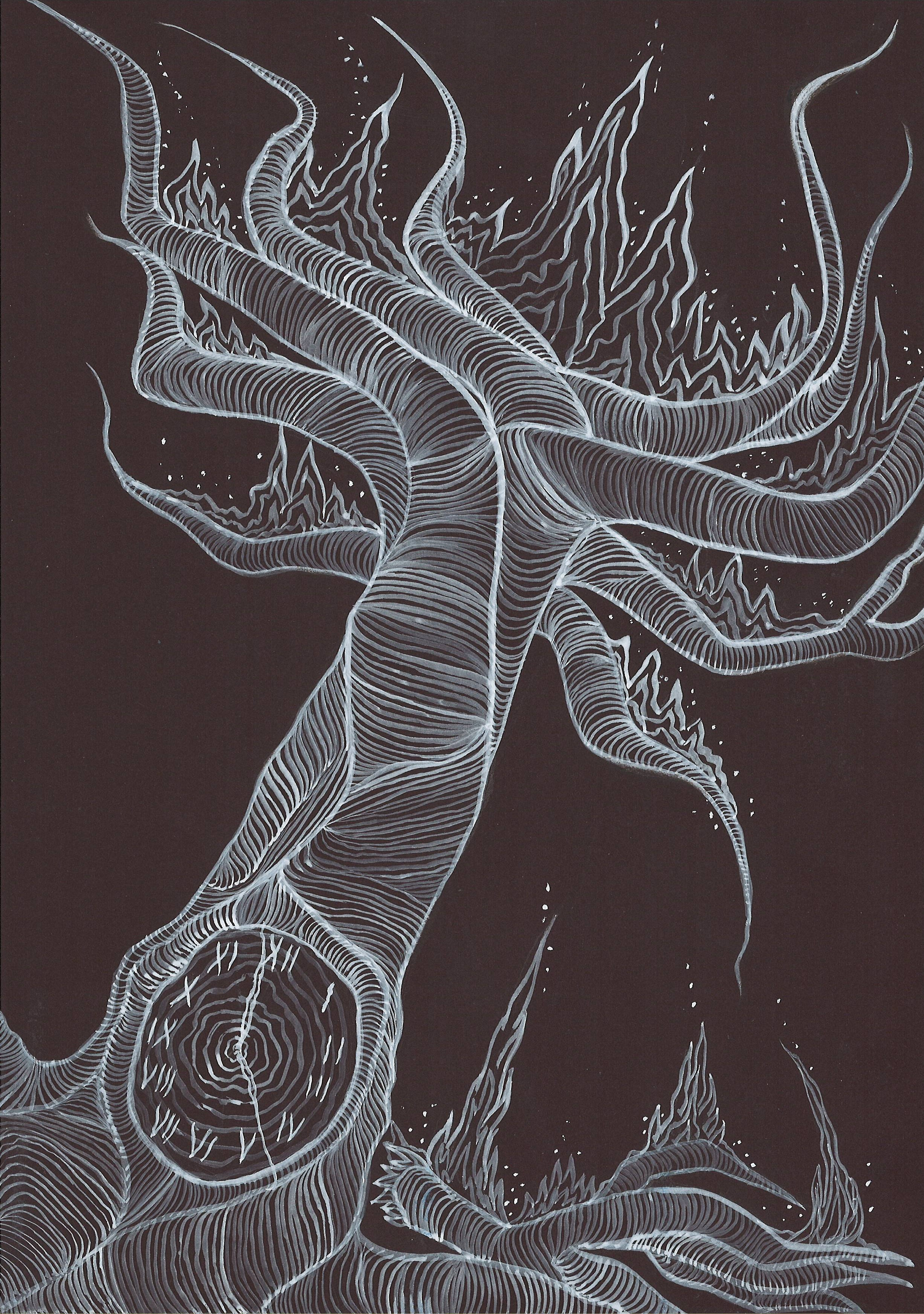 branches_and_roots_tree_studies