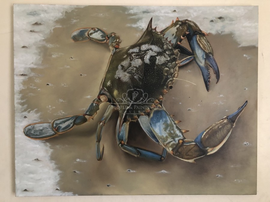 The meaning of numbers. Blue Crab.